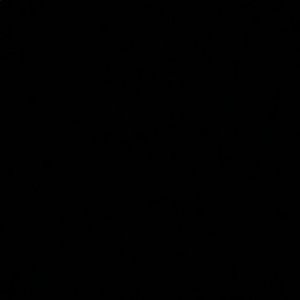 Meet your Posher, Ricky